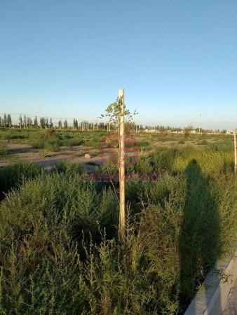Imagen 11 de 15 de Greenwood Vende 3 Lotes En Barrio Privado La Quebrada