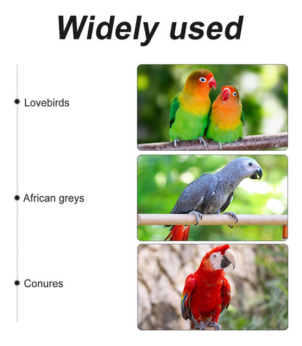 Juguete Para Pájaros El Nido De Pájaro