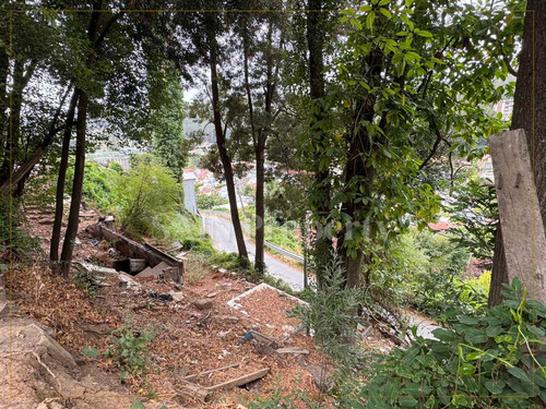 Terreno De Inversión Para Construir (84891)