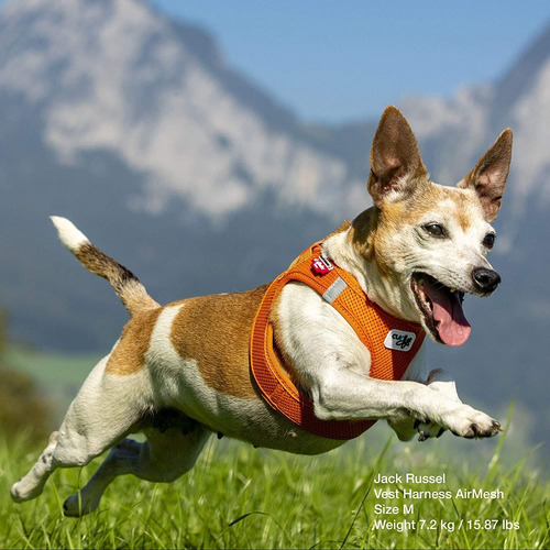 Curli Chaleco Arnés De Malla De Aire Para Perro, Chaleco Par