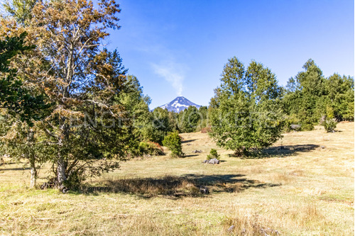 Parcelas Con Bosque Nativo Y Vista Al Volcán.