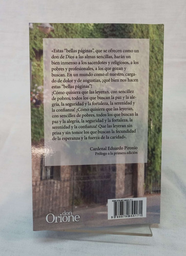 Don Orione Un Profeta De Nuestro Tiempo - Silanes / Solavagg (Usado)