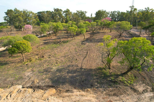 Terreno - Parana