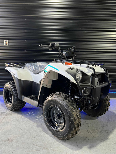 Kawasaki Brute Force 300 0km - Entrega Ya 0km - Envios