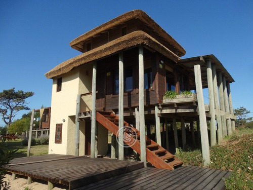 El Atorro En Punta Del Diablo