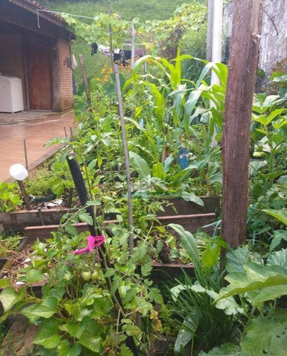 Imagem 14 de 19 de Chácara Com 4 Dormitórios À Venda, 900 M² Por R$ 1.050.000,00 - Tesouro Da Colina - Ilhabela/sp - Ch0436