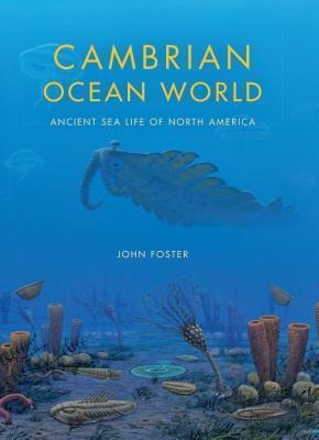 Cambrian Ocean World : Ancient Sea Life Of North America ...