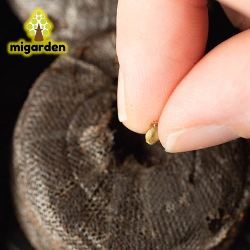 Imagen 3 de 5 de Discos Germinacion Jiffy Pellets Semillas Expandible X 12 Un
