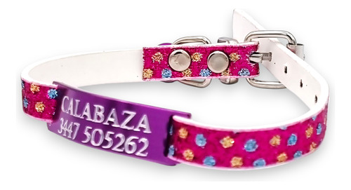 Combo Chapita Pasante + Collar Glamour Cat Violeta Pasacat