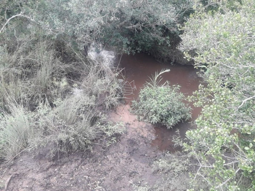 Imagen 15 de 16 de Campo De 5 Has Con 5891 M2 - San Carlos