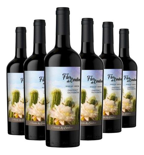 Vino Flor De Cardon Cabernet Sauvignon Caja 6x750cc