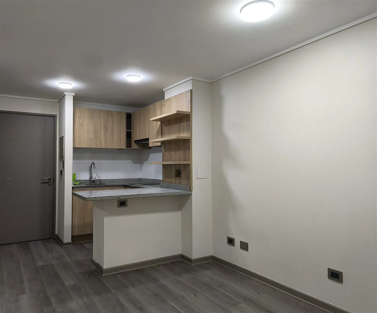 Imagen 5 de 21 de Arriendo Depto. 1d 1b, Santa Rosa, Santiago