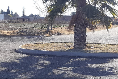 Imagen 12 de 30 de Barrio Viñas Del Sur Lotes, A Medida, Pre-venta