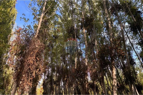 Terreno Agrícola En Venta En Coltauco 