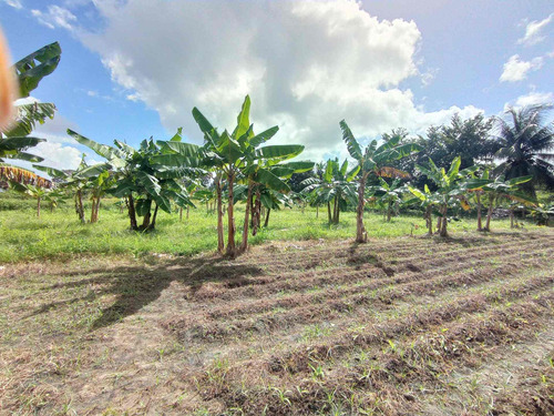 Imagen 15 de 18 de Se Vende Finca Av Cruz Peraza Maturin Ve01-1293cp-mamot