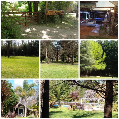 Cabañas Ayres Del Bosque Laguna De Lobos