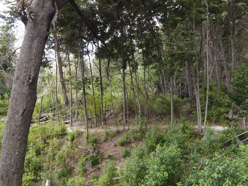 Venta Lote Con Proyecto Aprobado Para 10 Casas. Vista Al Lago Nahuel. Posible Ph O Uso Turístico. Villa La Angostura