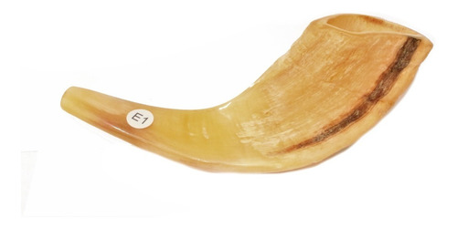 Imagem 4 de 6 de Shofar Chifre De Carneiro De Tocar - De Israel E1 25-29 Cm