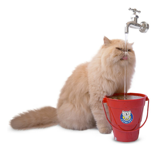 Bebedouro Magicat Vermelha Bivolt Fonte Para Gatos Catmypet