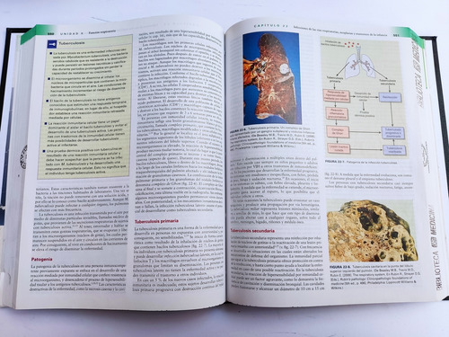Libro Fundamentos De Fisiopatologia Carol M. Porth 159h1 (Usado)