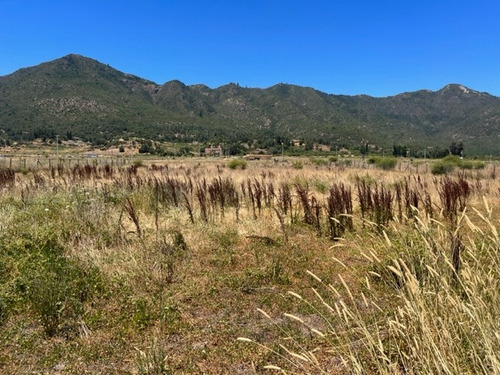 Venta Parcela De 5.000 Mts2 En Valle Tranquilo Zapallar .