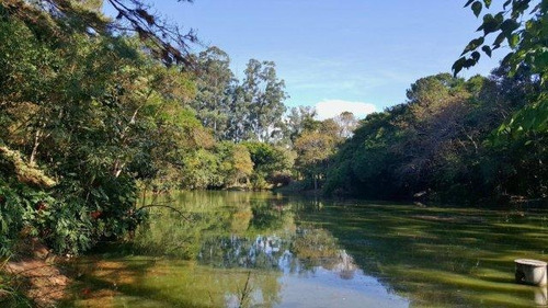 Imagem 13 de 20 de Terreno À Venda, 2845 M² Por R$ 1.600.000,00 - Jardim Mediterrâneo - Cotia/sp - Te7989