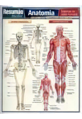 Resumao Escolar - Anatomia - Ensino Fundamental, De Perez, Vincent. Editora Barros, Fischer & Associados, Edição 1 Em Português, 2011