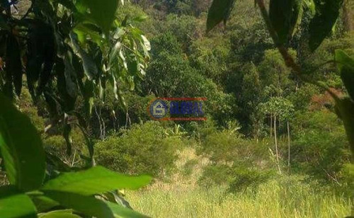 Imagem 6 de 7 de Terreno-à Venda-são José Do Imbassaí-maricá - Mauf00168