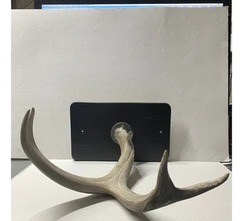 Percheros de cuernos de venado new arrivals