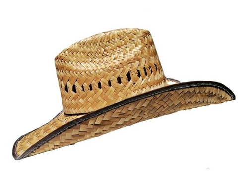 Sombrero Tipo Vaquero De Palma