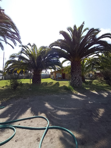 Gran Terreno En Coquimbo - La Serena