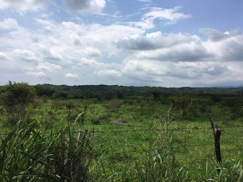 Imagen 15 de 30 de 33 Has Cerca De Altozano El Nuevo Colima