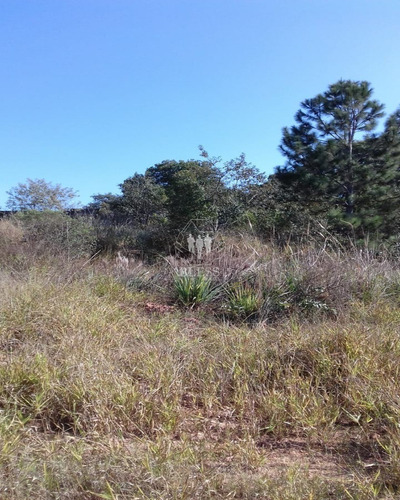 Sitio Situado Em Campo Limpo Paulista E Jarinu - Sp - Ch00111 - 32760799