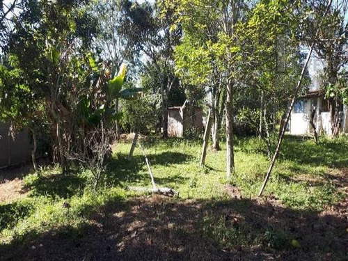 Imagem 3 de 7 de Cod 3617 - 1.000 M² De Frente Para O Asfalto! - 3617