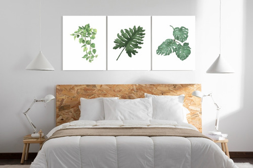 Cuadros Decorativos Plants A3 Pack En Mdf  | Vinilo Design