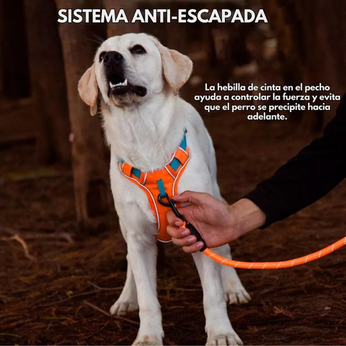 Pechera Arnés Ajustable Reforzada Para Perros Medianos Y