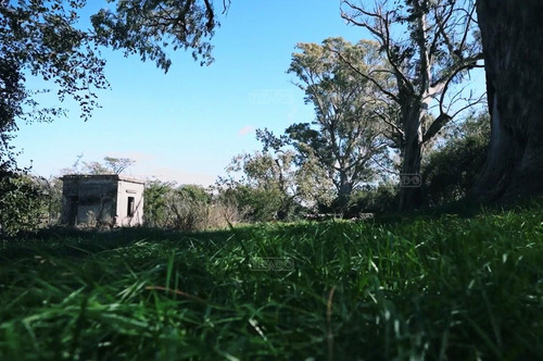 ESTANCIA CARABASSA