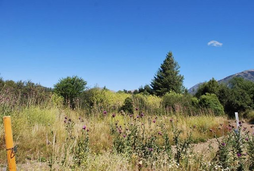 Barrio Cerrado Zona Lago Moreno - Bariloche