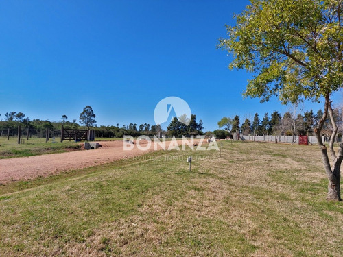Imagen 9 de 9 de Tierra Calma. Piriápolis. Terrenos En Venta Financiados.