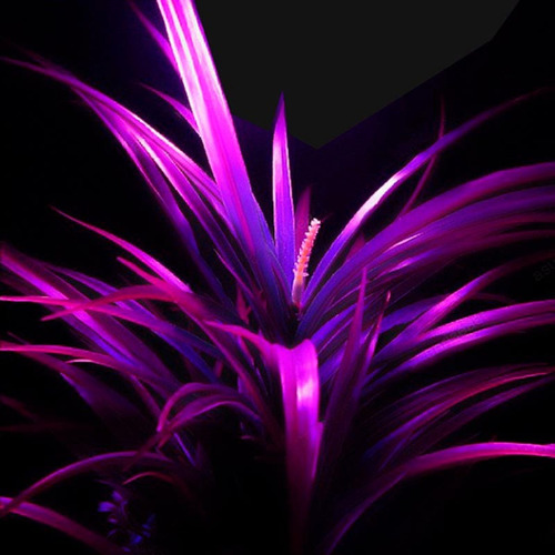 Imagen 4 de 7 de Tubo Led 9w 60cm Cultivo Crecimiento - 1 Año De Gtía