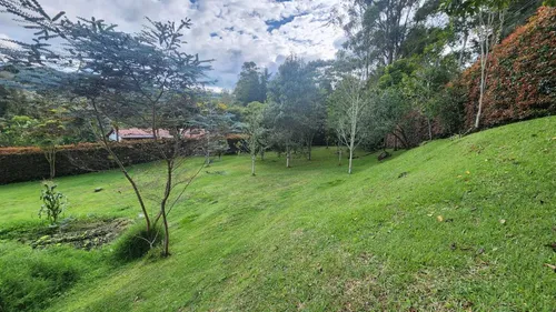 Lote En Venta En Llanogrande. Cod V12431
