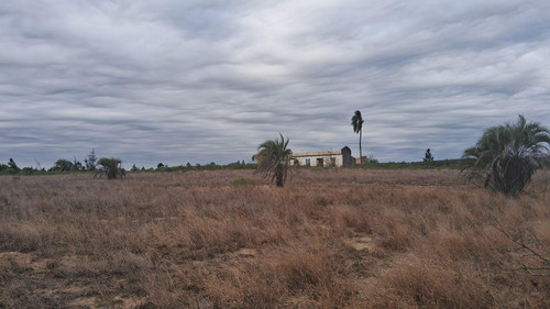 Campo En Osvaldo Magnasco