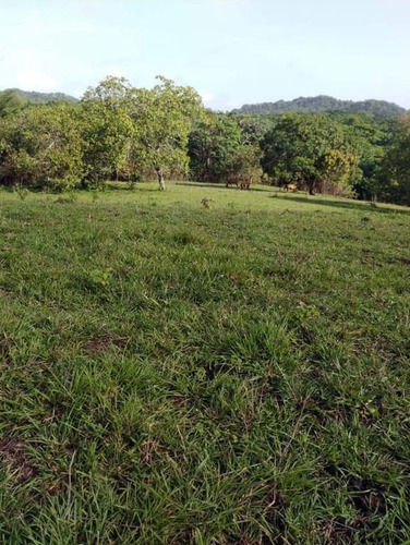 Te Vendo Finca En El Km 35 De La Carretera De Yamasa.