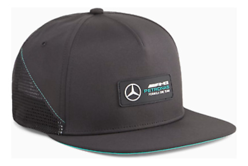 Puma Gorro Mercedes Amg Petronas 02482001