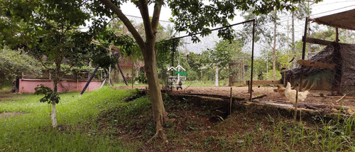 Imagem 6 de 30 de Casa Com 3 Dorms, Area Rural, Pedro De Toledo - R$ 500 Mil, Cod: 821 - V821