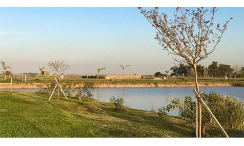Lote N° 5 En Venta. Campos De La Enriqueta