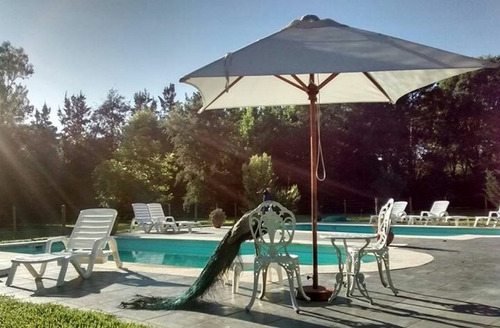 Imagen 14 de 15 de Cabañas 8 Con Estilo En 4,5 Hectareas Tipo Barrio Cerrado