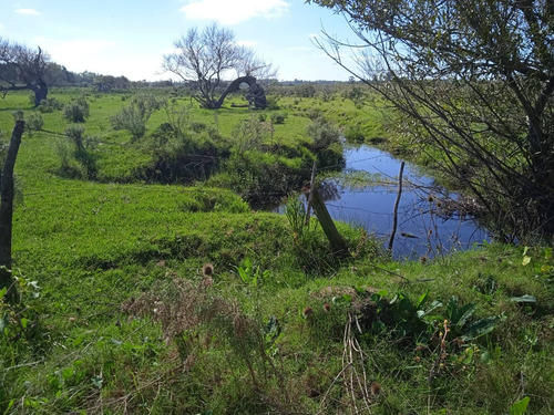 Campo De 21 Hectáreas Sub Urbanas