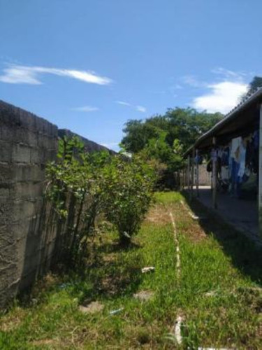 Imagem 22 de 24 de Mini Chácara No Bairro Sítio Velho, Em Itanhaém, Com Tanque De Peixes Com Mais De 100 Tilápias, Quarto De Dispensa, Poço Artesiano, Fogão A Lenha E Vaga Para 02 Automóveis Ref: 9544/ac