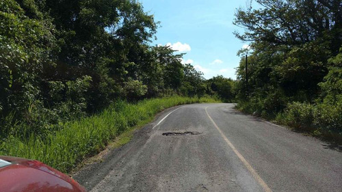Se Vende Rancho 16 Has Carretera Naranjos-tamiahua Veracruz